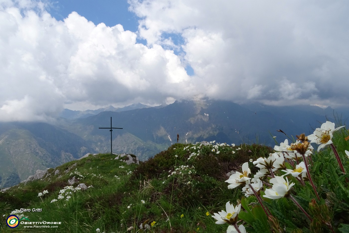 71 Anche fioriture di camedrio alpino alla croce di vetta della Corna Grande.JPG